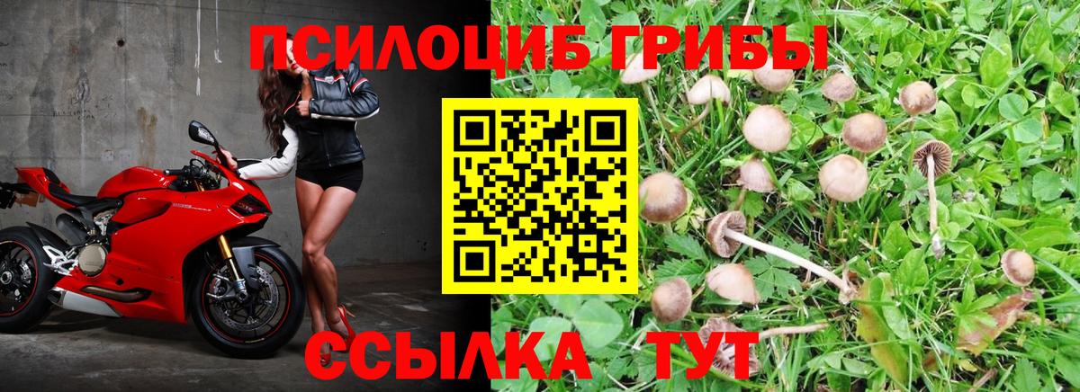 Псилоцибиновые грибы Magic Shrooms Артём