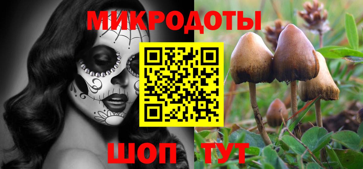 Псилоцибиновые грибы ЛСД  Галлюциногенные грибы GOLDEN TEACHER  Артём  Вход с VPN 